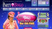 Party Bingo - CLOSED Screenshot