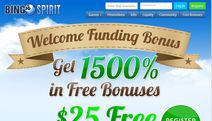 BingoSpirit Screenshot