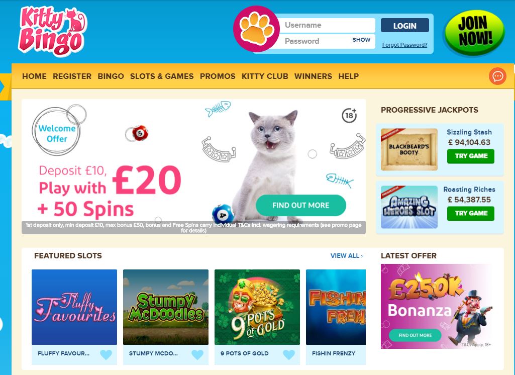 Kitty Bingo
