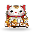 Big Win Cat