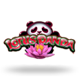 Lotus Panda