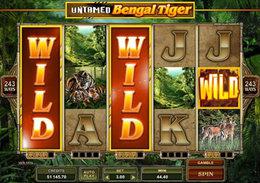 Untamedbengaltiger