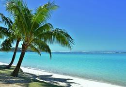 Reel island online casino