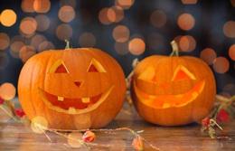 Trick or treat bounty