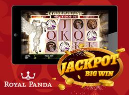 Royal panda awards 140k on the divine fortune slot