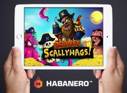 Sail away with habaneros scruffy scallywags