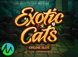 Microgaming unleashes new exotic cats video slot