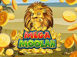 Mega moolah progressive jackpot hits twice in 48 hours
