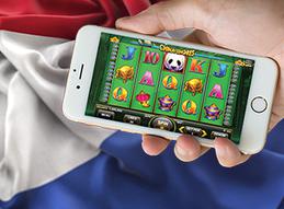Dutch online gambling to launch in 2021