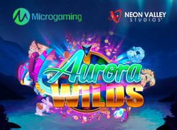 Microgaming follows the northern lights in aurora wilds %281%29