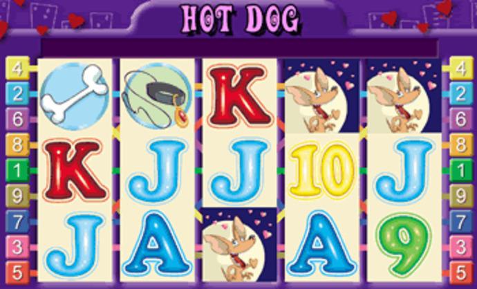 Hot Dog Screenshot