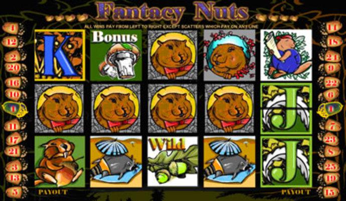 Fantacy Nuts Screenshot