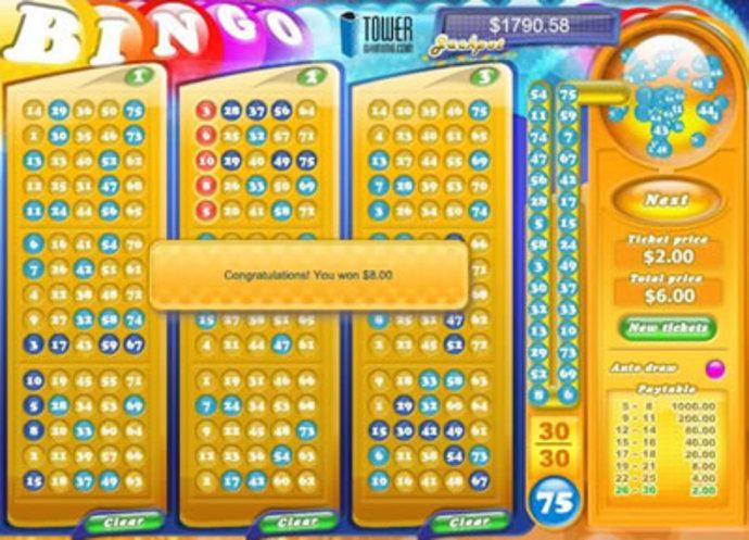 Casino Bingo Screenshot