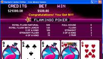 Flamingo Video Poker Screenshot
